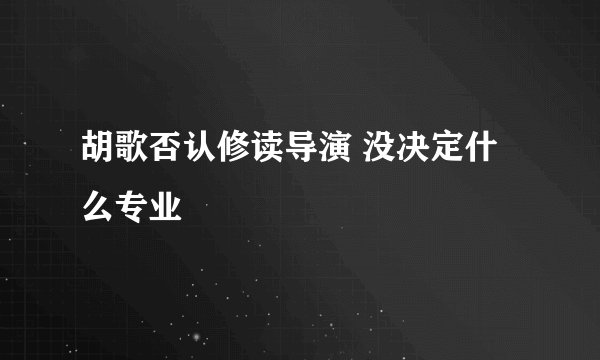 胡歌否认修读导演 没决定什么专业
