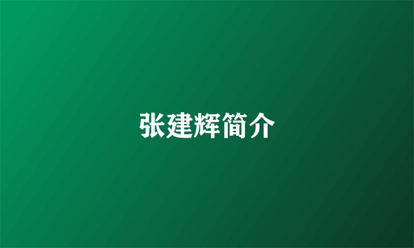张建辉简介