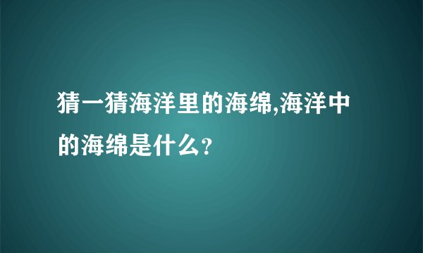猜一猜海洋里的海绵,海洋中的海绵是什么？