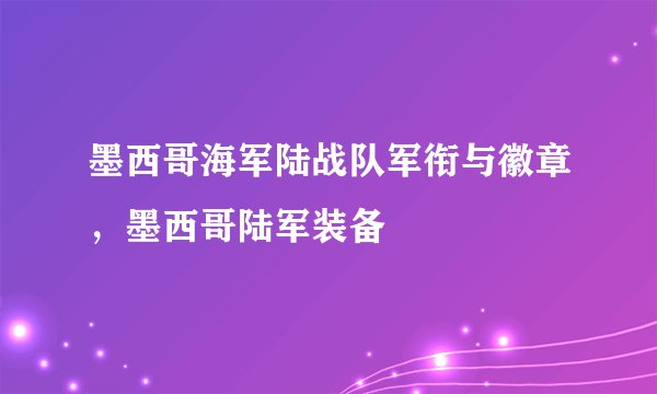 墨西哥海军陆战队军衔与徽章，墨西哥陆军装备