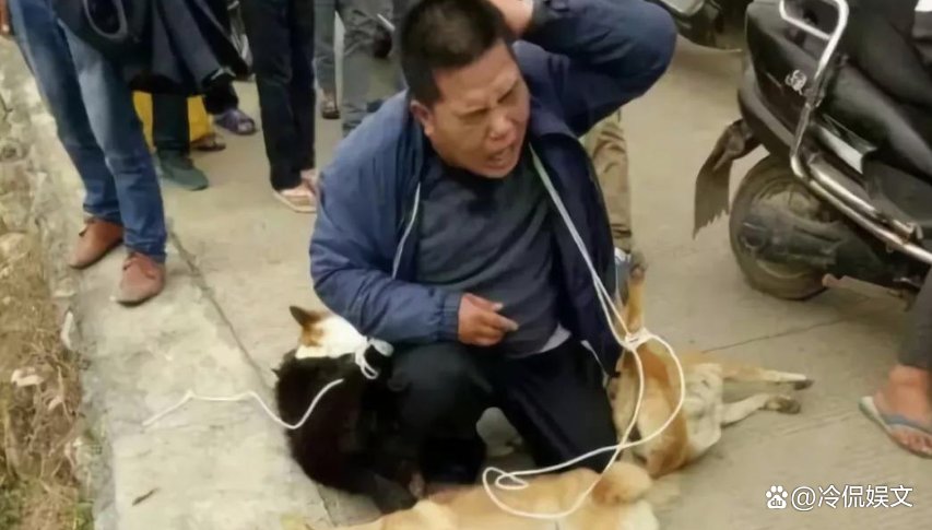 视频曝男子喷不明液体后狗狗迅速死亡,他喷射的液体究竟是什么?