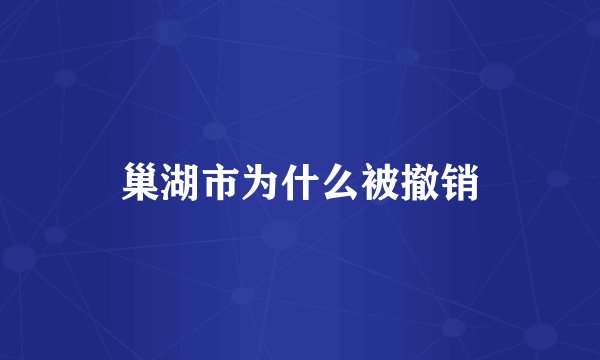 巢湖市为什么被撤销