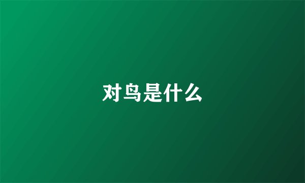 对鸟是什么