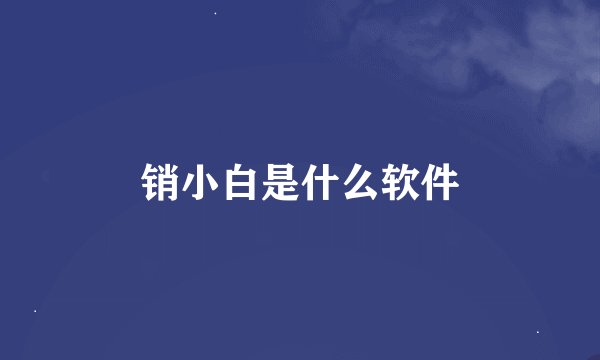 销小白是什么软件