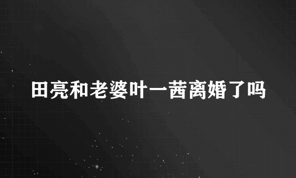 田亮和老婆叶一茜离婚了吗