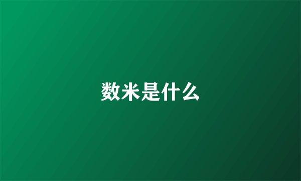 数米是什么