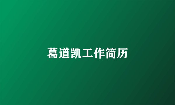 葛道凯工作简历