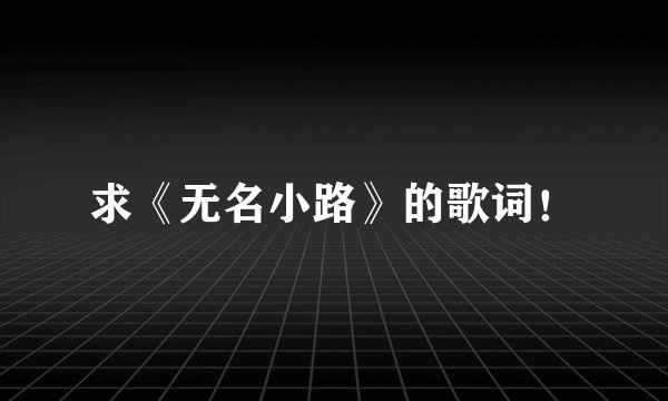 求《无名小路》的歌词!