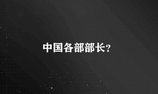 中国各部部长？