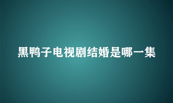 黑鸭子电视剧结婚是哪一集