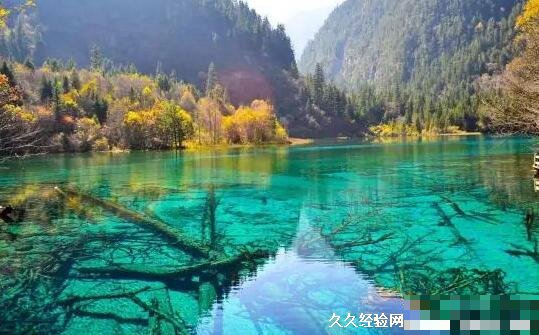 去九寨沟旅游要花多少钱