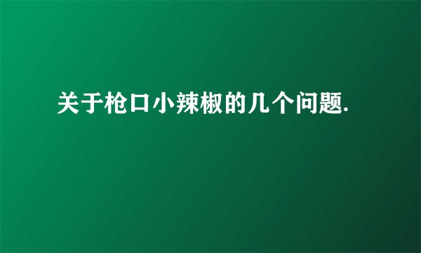 关于枪口小辣椒的几个问题.