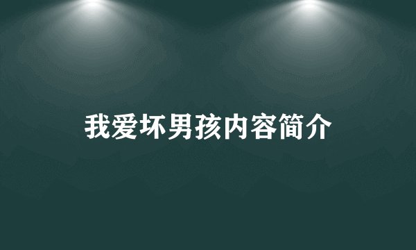 我爱坏男孩内容简介