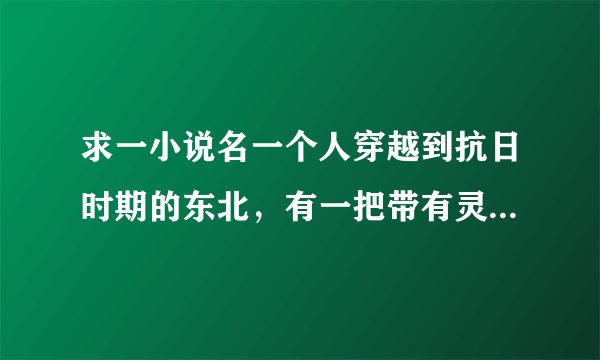 求一小说名一个人穿越到抗日时期的东北，有一把带有灵性的枪。有点那啥的..