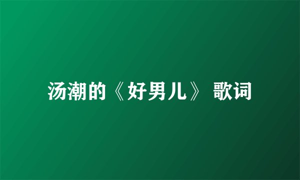 汤潮的《好男儿》 歌词