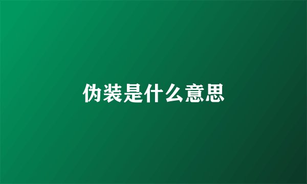 伪装是什么意思