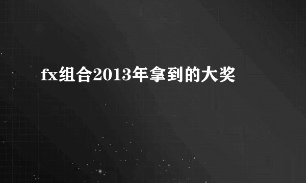 fx组合2013年拿到的大奖