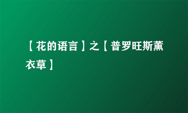 【花的语言】之【普罗旺斯薰衣草】