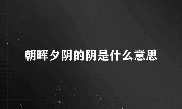 朝晖夕阴的阴是什么意思