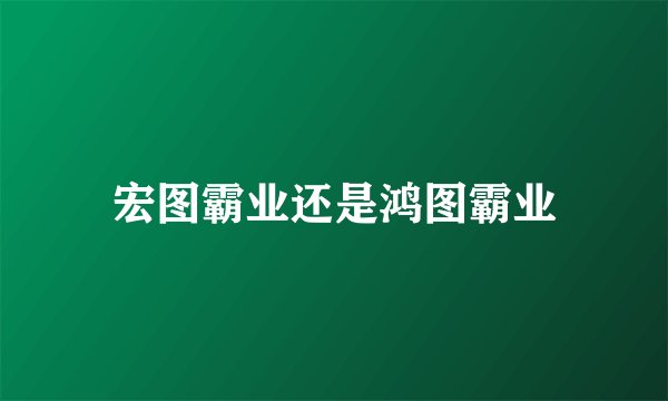 宏图霸业还是鸿图霸业