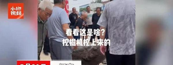 河南一村庄修路挖出大石龟 这是咋情况？