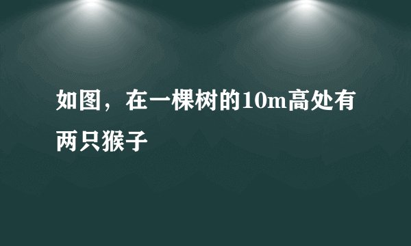 如图，在一棵树的10m高处有两只猴子