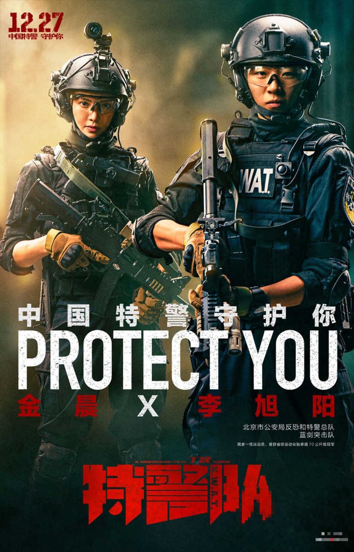 中国特警电影有哪些
