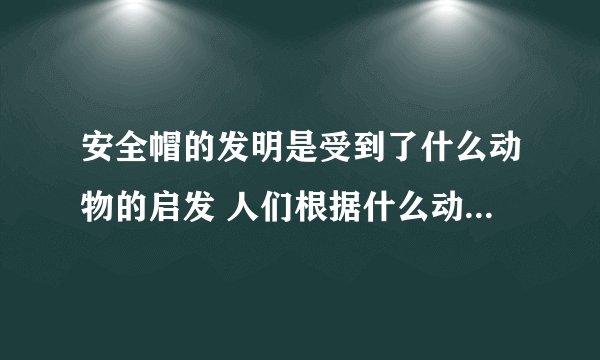 安全帽的发明是受到了什么动物的启发 人们根据什么动物发明了安全帽