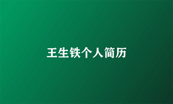 王生铁个人简历