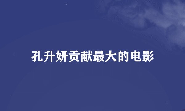 孔升妍贡献最大的电影