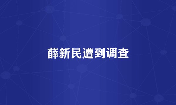 薛新民遭到调查