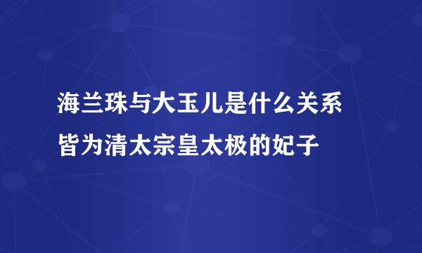 海兰珠与大玉儿是什么关系 皆为清太宗皇太极的妃子