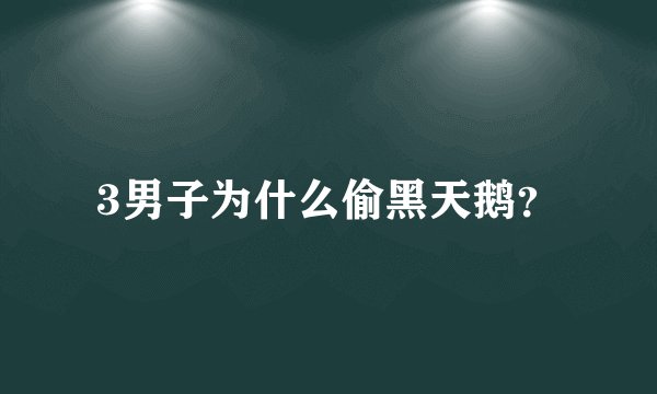 3男子为什么偷黑天鹅？