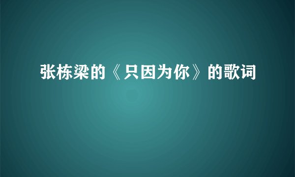 张栋梁的《只因为你》的歌词