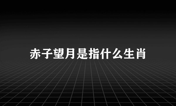 赤子望月是指什么生肖