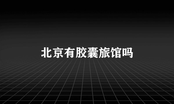 北京有胶囊旅馆吗
