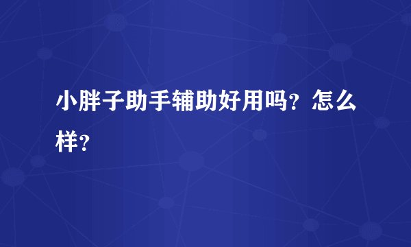 小胖子助手辅助好用吗？怎么样？