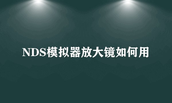 NDS模拟器放大镜如何用