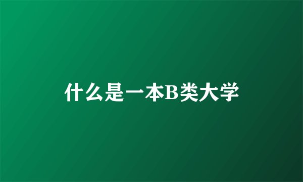 什么是一本B类大学