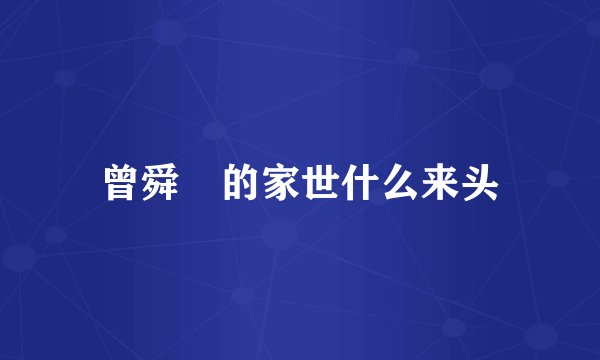 曾舜晞的家世什么来头
