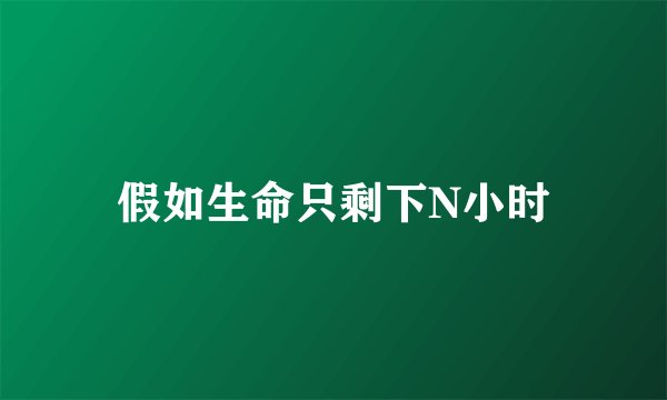 假如生命只剩下N小时