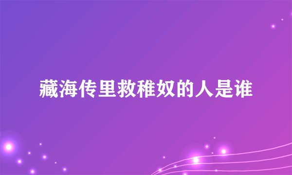 藏海传里救稚奴的人是谁