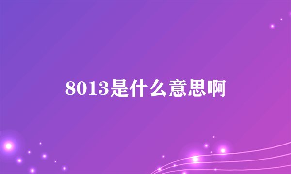 8013是什么意思啊