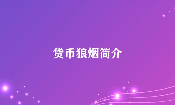 货币狼烟简介
