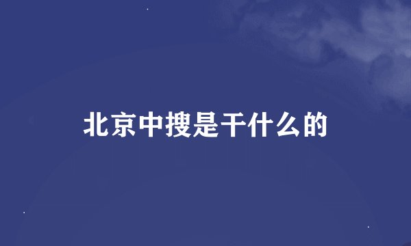 北京中搜是干什么的