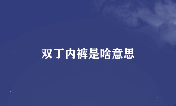 双丁内裤是啥意思