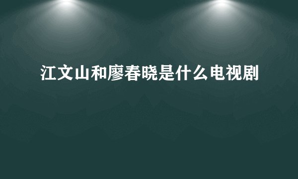江文山和廖春晓是什么电视剧