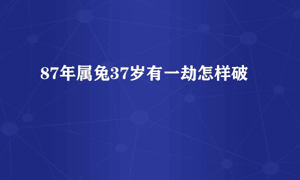 87年属兔37岁有一劫怎样破
