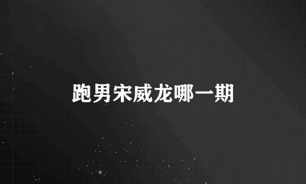 跑男宋威龙哪一期