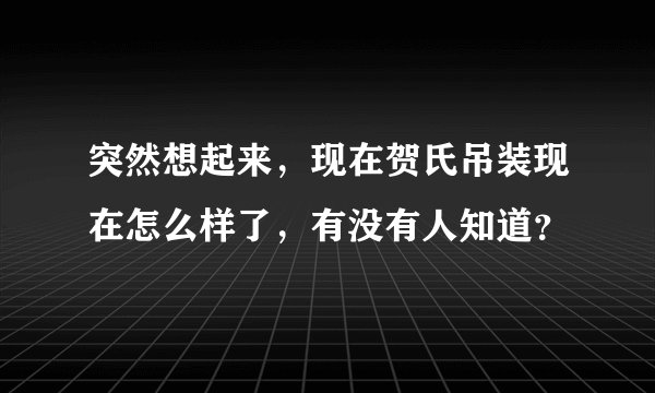 突然想起来,现在贺氏吊装现在怎么样了,有没有人知道?